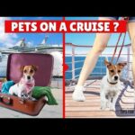Ultimate Guide to APT Cruising's Pet Policy: Everything You Need to Know!